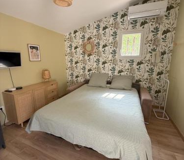 La Roque-d'Antheron Apartment | Charming studio with private terrace