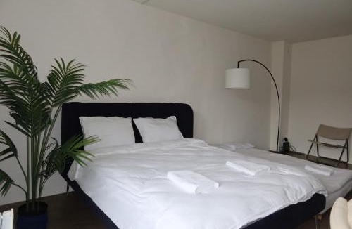 Aarau Apartment | Charming Studio 111 - Krone