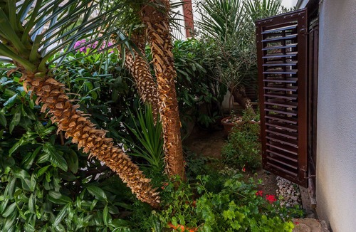 Split Apartment | Charming studio apartment in top location