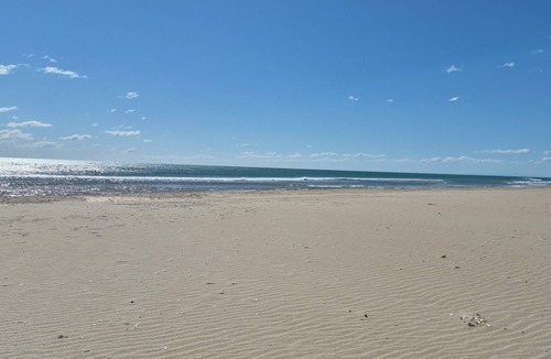 Marseillan Plage Apartment | Charming studio in Marseillan 500m from the beach, ideal location 🦩