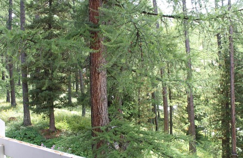 Les Claux Apartment | Charming Studio in Vars, 30m from Slopes, Sleeps 4