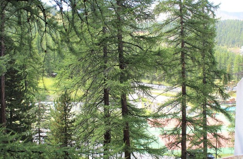 Les Claux Apartment | Charming Studio in Vars, 30m from Slopes, Sleeps 4