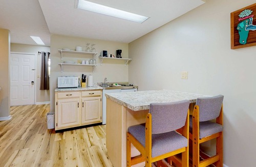 Baneberry House | Charming Studio, Sleeps 4, Close to Douglas Lake