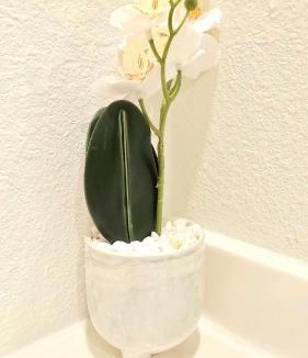 Mobile House | Charming & Stylish in Mid-Town