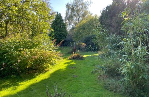 Dronningmolle House | Charming Thatched-Roof Cottage From 1947