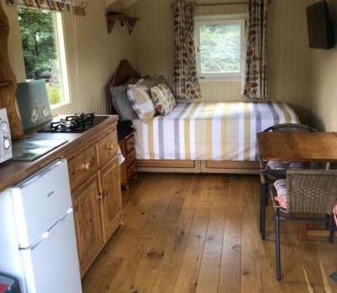 Hadlow Down House | Charming tranquil Shepherds Hut with lakeside balcony 'Roach'