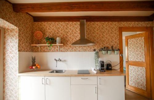 Mont-sur-Rolle House | Charming Vinyard House - Lake Geneva
