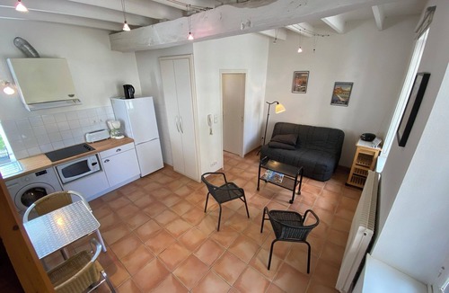 Marssac-sur-Tarn House | CHARMING WATERFRONT GITE WITH PADDLE AND PEDALO