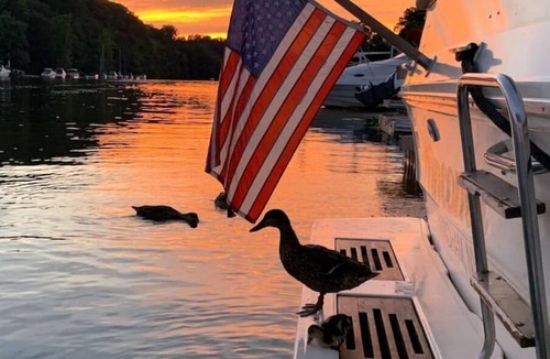 Catskill Boat Rental | Charming Yacht on Catskill Creek