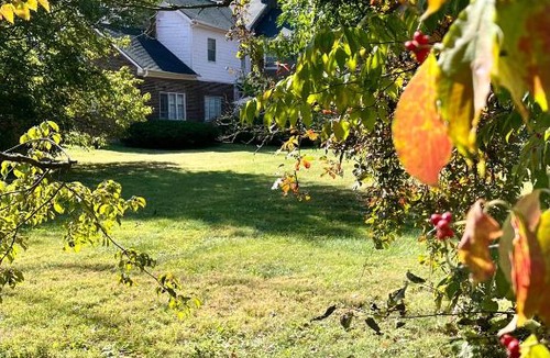 Versailles Bed & Breakfast | Charred Oaks Inn