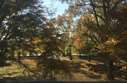 Versailles Bed & Breakfast | Charred Oaks Inn