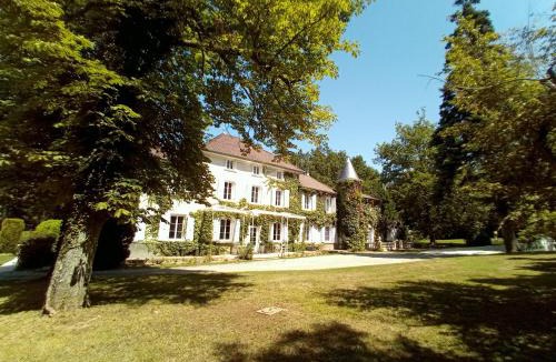 Saint-Etienne-de-Saint-Geoirs House | Chateau des Ayes - Chambres & suites