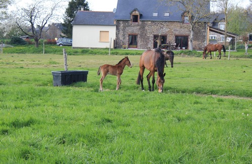 Campeneac House | Chateau/Country House