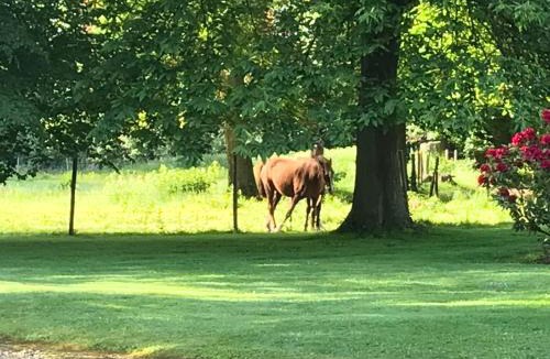 Hugleville-en-Caux Apartment | CHATEAU D HUGLEVILLE