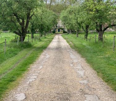 Flagy Bed & Breakfast | Chateau de Bellefontaine