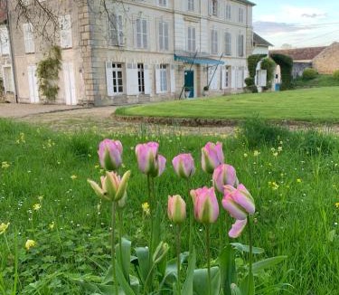 Flagy Bed & Breakfast | Chateau de Bellefontaine