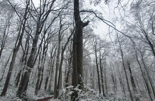 Villeneuve-de-Marc Bed & Breakfast | Chateau de Bonnevaux