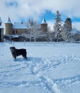 Quins Bed & Breakfast | Chateau de Cadars