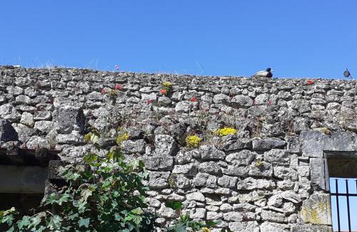 Chemery Bed & Breakfast | Chateau de Chémery