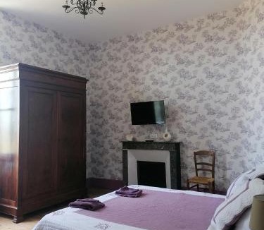 Tresnay Bed & Breakfast | CHATEAU DE CHAVANNES