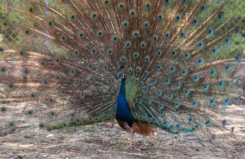 Marnand Apartment | Chateau de Marnand