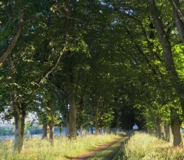 Beaupreau-en-Mauges House | Chateau De Piedouault