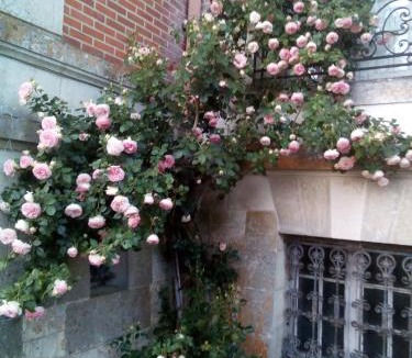 Valencisse Bed & Breakfast | Chateau du Guérinet D'Orchaise