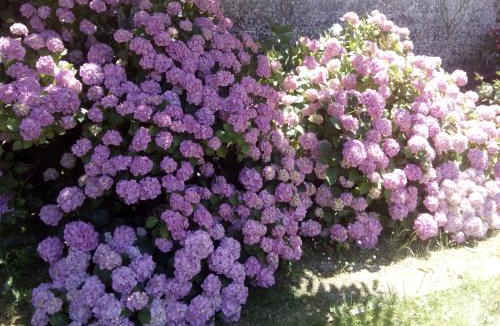 Valencisse Bed & Breakfast | Chateau du Guérinet D'Orchaise