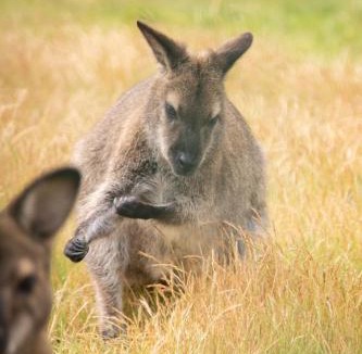 Saint-Mars-du-Desert Bed & Breakfast | CHATEAU du PERRAY