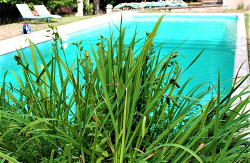 La Perche Cottage | Chateau Igny/COURTYARD gite