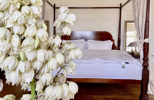 Tierce Other | Chateau La Bainerie