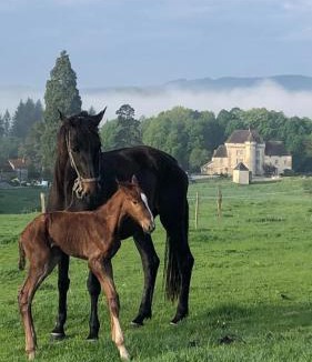 Saint-Hilaire-le-Chateau Bed & Breakfast | Chateau La Chassagne