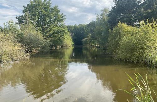 Loriges Bed & Breakfast | Chateau Tout Y Fault