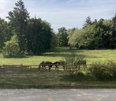 Loriges Bed & Breakfast | Chateau Tout Y Fault