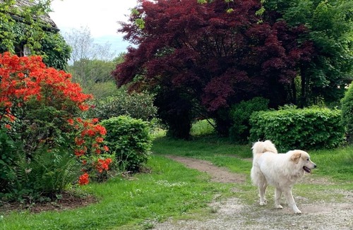 Lamaziere-Basse House | Chaumeil chambre d’hôte