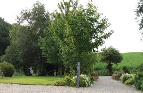 Ourville-en-Caux House | Chaumière d'Albâtre -Gîte-Détente nature et bien être