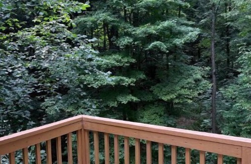 Jamestown Apartment | Chaut. Lake & Comedy Center Guesthouse