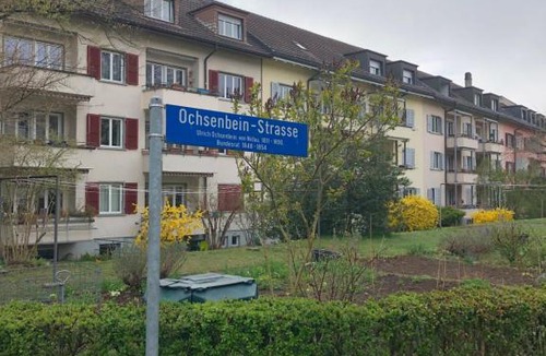 Mattenhof-Weissenbuhl House | Cheap Room and Kitchen