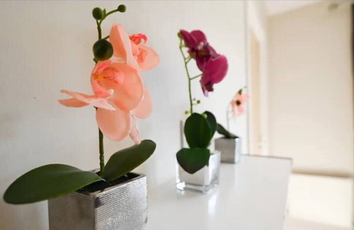 Reading House | Cheerful - 5 bedroom house with parking