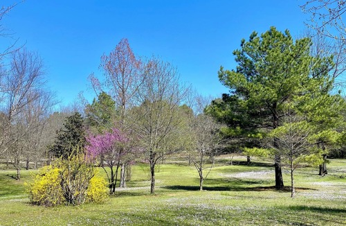 Plainview Cabin | Cheerful cabin with KING bed and WiFi, AC in charming Plainview