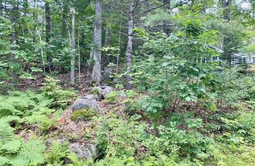 Edgecomb Cottage | Cheerful Cottage Close to Everything 13