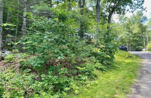 Edgecomb Cottage | Cheerful Cottage Close to Everything 13