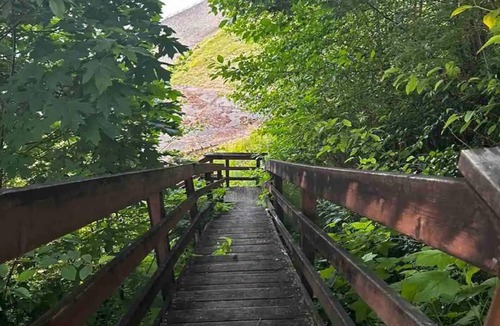 Tillicum Cabin | Cheerful ocean front 3 bedroom cabin