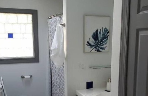 Rocky Mount House | Cheery and bright! Pet friendly!