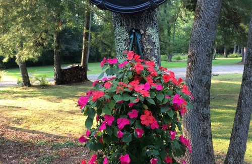 Norwich House | Chenango Lake Guest House