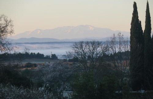 Azillanet Bed & Breakfast | CheRiedel Bed & Breakfast & Art Gallery