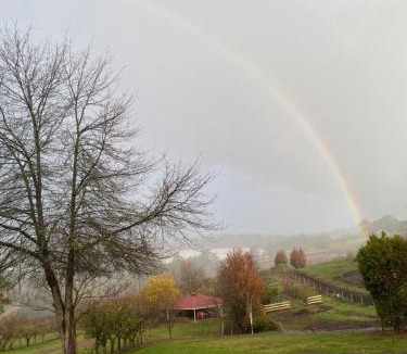 Wandin East House | Cherry Haven farm house with a view