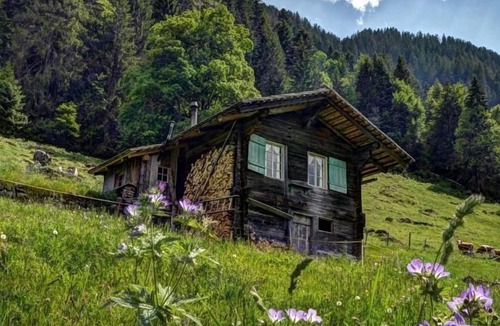 Goldswil Ski Chalet | Cherry tree hut, cosy mountain hut for 2
