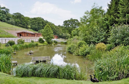 Holcombe Burnell Cottage | Cherrytree Cottage - 29937