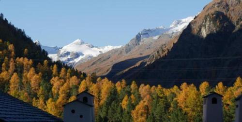 Pontresina Apartment | Chesa Delfin